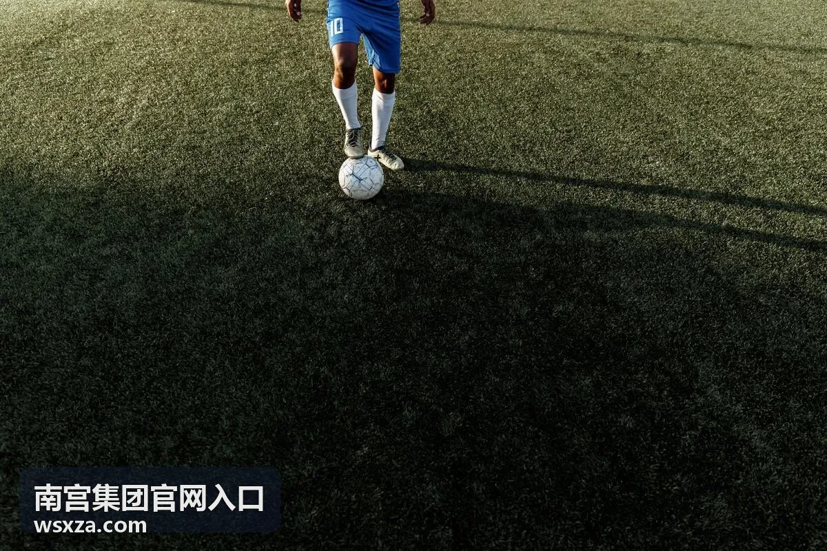 南宫集团官网入口产业投资板块